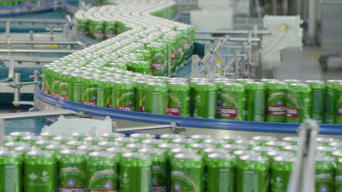 線上線下多維賦能，青島啤酒以品質致敬冬奧會網站建設